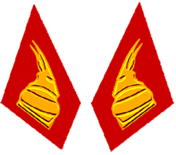 петлицы офицеров сухопутных войск Албании