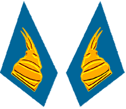 петлицы офицеров сухопутных войск Албании