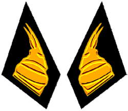 петлицы унтер-офицеров сухопутных войск Албании