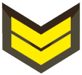 Нашивки унтер-офицеров и сержантов сухопутных войск (Azərbaycan Quru Qoşunları) вооруженных сил Азербайджана