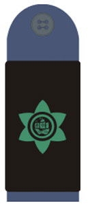 Знаки различия вооруженных сил Содружества Багамских островов