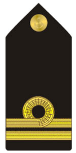 Знаки различия вооруженных сил Содружества Багамских островов