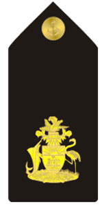 Знаки различия вооруженных сил Содружества Багамских островов