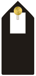 Знаки различия вооруженных сил Содружества Багамских островов