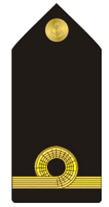 Знаки различия вооруженных сил Содружества Багамских островов