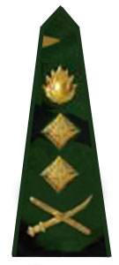 погоны армии Бангладеш