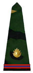 погоны армии Бангладеш