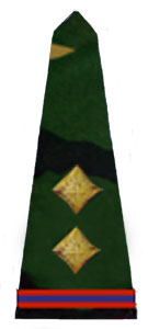 погоны армии Бангладеш