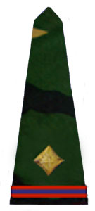 погоны армии Бангладеш