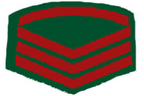 погоны армии Бангладеш