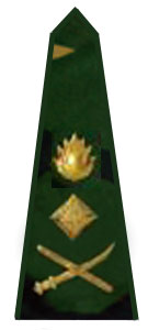 погоны армии Бангладеш