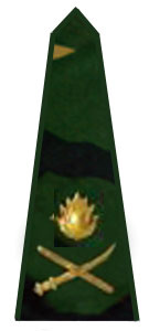 погоны армии Бангладеш