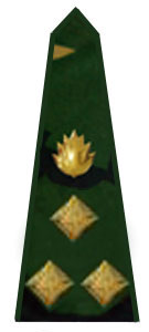 погоны армии Бангладеш