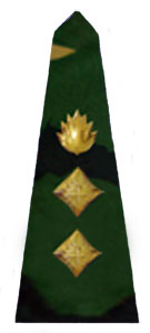 погоны армии Бангладеш