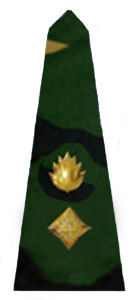 погоны армии Бангладеш