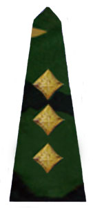 погоны армии Бангладеш