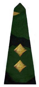 погоны армии Бангладеш