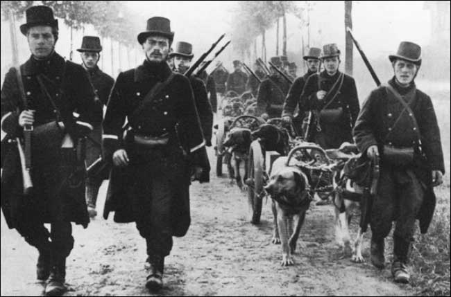 Униформа бельгийских егерей и карабинеров 1914 года