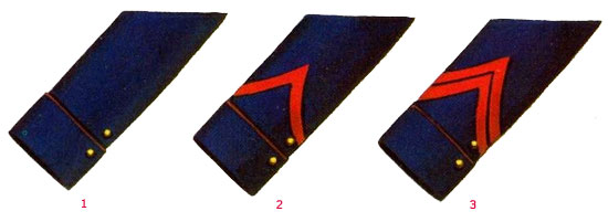 Униформа  армии Чили 1810-1823 годов