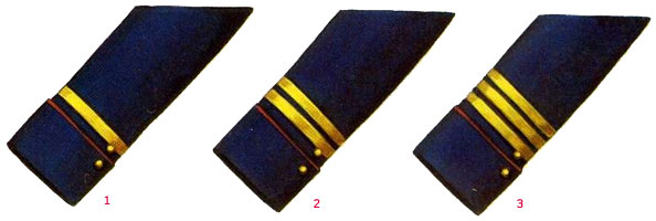 Униформа  армии Чили 1810-1823 годов