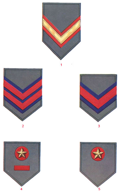 Нашивки сержантов и солдат чилийской армии