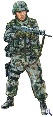 <strong>Пехотинец Народно-Освободительной Армии Китая в пиксельном камуфляже тип 07.</strong>» border=»0″ class=»aligncenter» /></a></td>
</tr>
</table>
</div>
<div align=