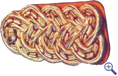 витые погоны генералов армии Колумбии