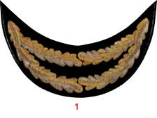 Униформа военно-морского флота Дании