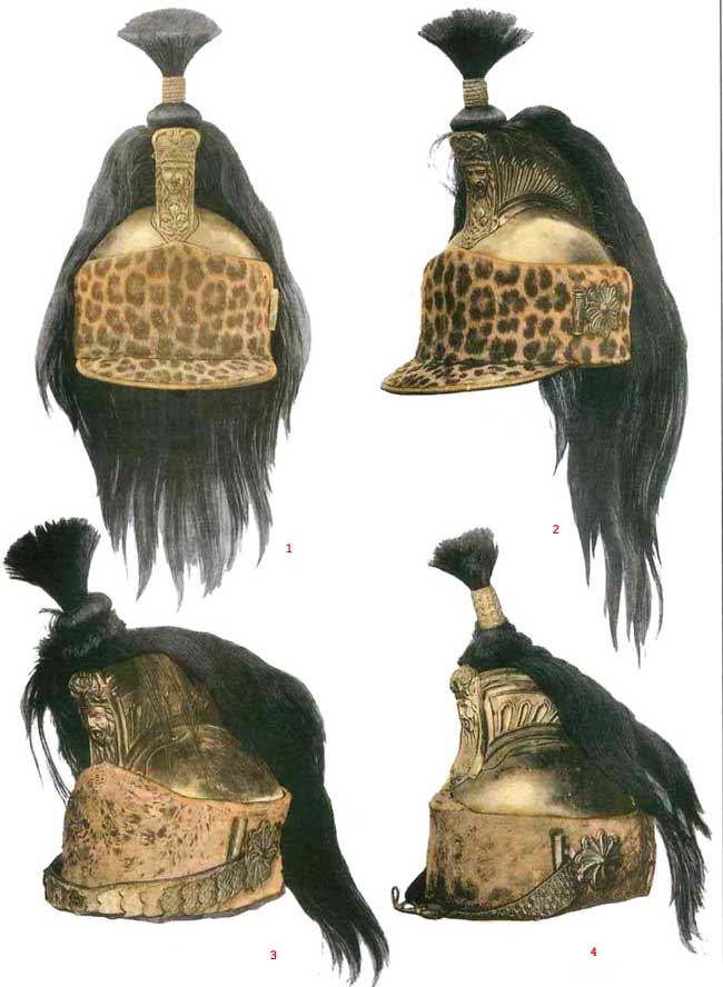 Униформа драгун Наполеона