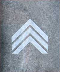 знаки различия Сечевых Стрельцов