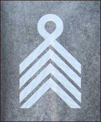 знаки различия Сечевых Стрельцов