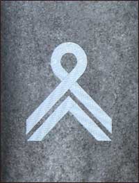 знаки различия Сечевых Стрельцов