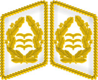 униформа парашютистов III рейха