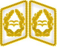 униформа парашютистов III рейха