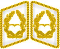 униформа парашютистов III рейха