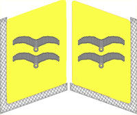 униформа парашютистов III рейха