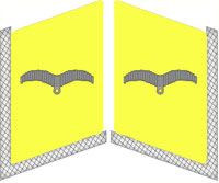 униформа парашютистов III рейха
