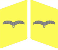 униформа германских парашютистов