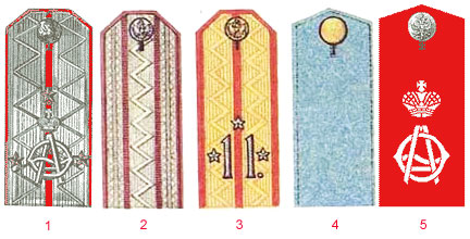 гусарские погоны