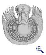 эполеты штаб-офицеров русских армейских гусарских полков образца 1837 года