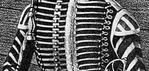 крыльца на доломане и ментиках трубачей российских гусарских полков, 1817 год