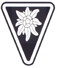 Униформа армии Хорватии 1941-1945 годов