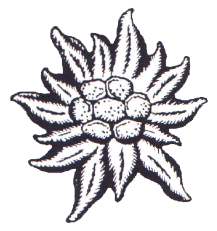 Униформа армии Хорватии 1941-1945 годов