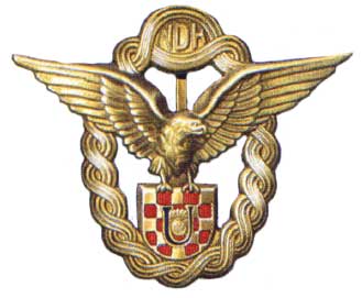 Униформа авиации армии Хорватии 1941-1945 годов