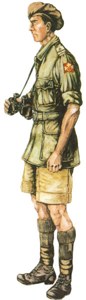 Хавильдар (сержант) 3-го батальона 8-го Пенджабского полка, Северная Африка, 1943 год.