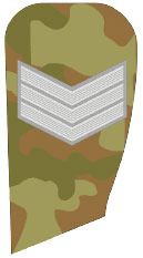 Полевые погоны, знаки различия и нашивки сухопутных войск Индии