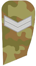 Полевые погоны, знаки различия и нашивки сухопутных войск Индии