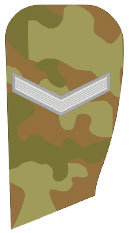 Полевые погоны, знаки различия и нашивки сухопутных войск Индии