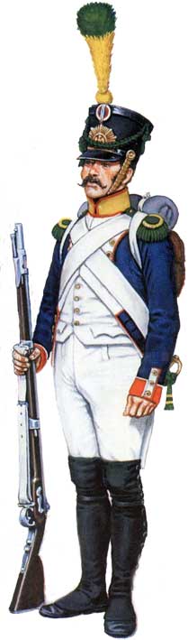 униформа линейной пехоты Наполеона