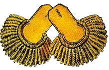 Эполеты полковника наполеоновской армии